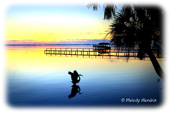 Manatee Hammock Campground